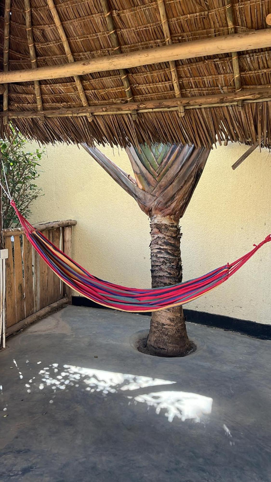 Bed and Breakfast Stasumo House Arusha Exterior foto